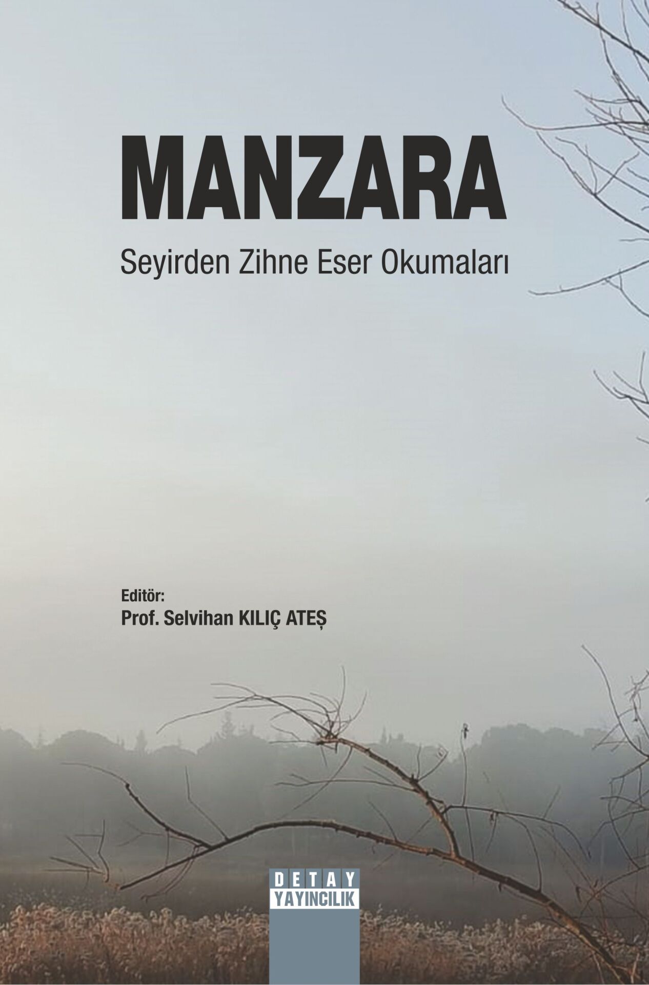 MANZARA (Seyirden Zihne Eser Okumaları)