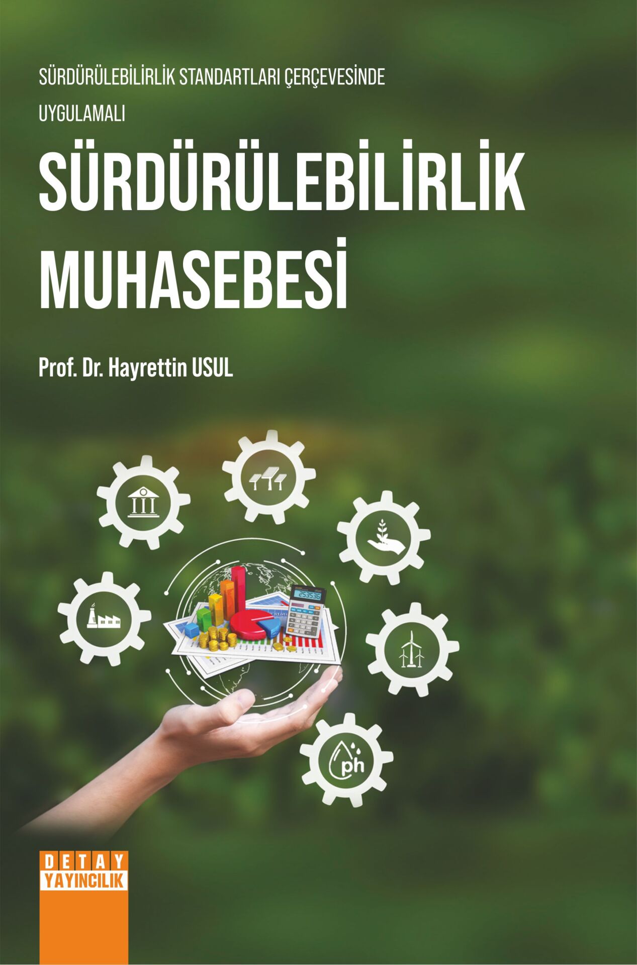 SÜRDÜRÜLEBİLİRLİK STANDARTLARI ÇERÇEVESİNDE UYGULAMALI SÜRDÜRÜLEBİLİRLİK MUHASEBESİ